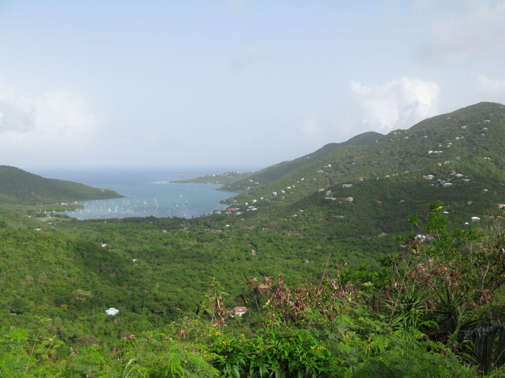A 2nd Bay View from North Shore Road