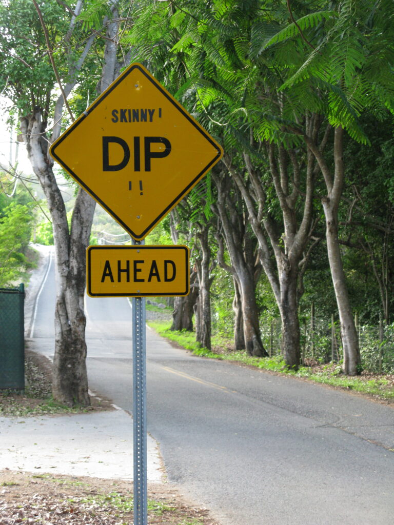 Skinny Dip Sign