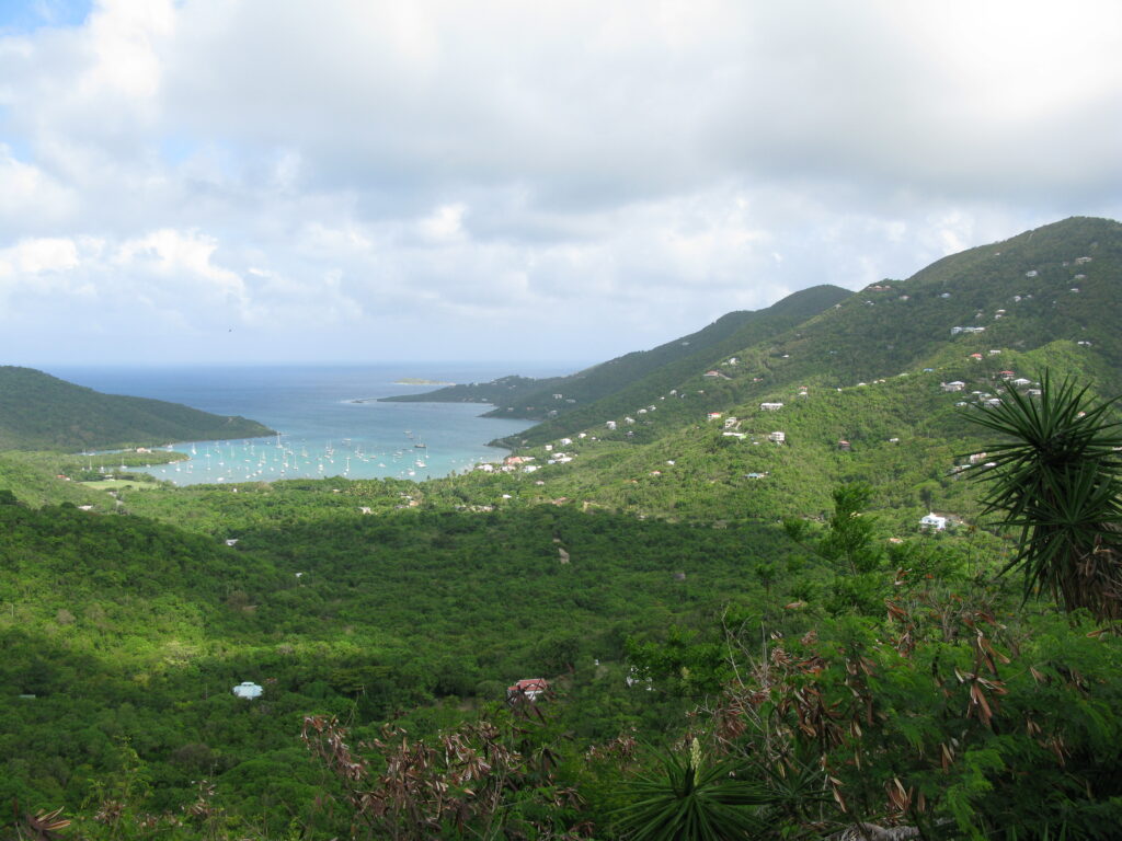 A Bay View from North Shore Road